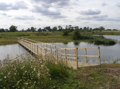 Bridges